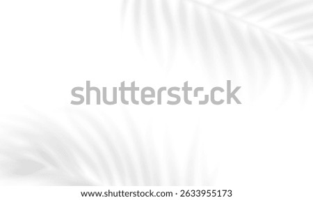 Transparent shadow overlay effect tropical leaves. Realistic shadow of palm branch. Mockup of transparent tropic leaves shadow. Vector illustration