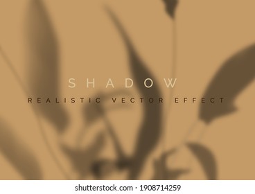 The transparent shadow overlay effect. The shadow of the twigs with leaves. Mockup with Overlap blurred silhouettes of shadows from branches. Realistic vector