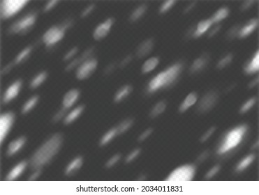 Transparent Shadow of Tree Foliage Silhouette with Sun Light Dapple. Decorative Reflection Sunshine Overlay. Outdoor Mockup Texture