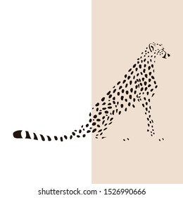 Transparent silhouette of sitting cheetah. Vector illustration EPS 8