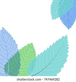 Transparent silhouettes of skeleton leaves isolated on white background. Floral pattern of beautiful leaves.Vector illustration.