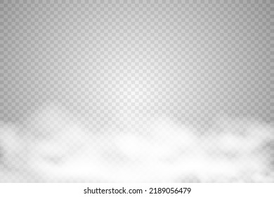 
Transparent smoke or fog vector background. Steam texture illustration. Powder explosion concept.