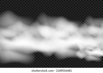 
Transparent smoke or fog vector background. Steam texture illustration. Powder explosion concept.
