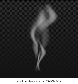 Transparent smoke on dark background. Vector illustration
