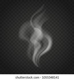 Transparent smoke or steam waves isolated on dark background. Trickles of smoke vector.