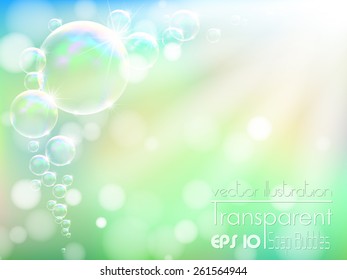 Transparent soap bubble on nature background