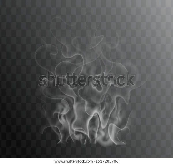 Transparent special effect of hot steam for cafe\
menu food, meal, tea, coffee, bbq and steak. Vector gas, smoke,\
fog, fume isolated on dark background. Realistic wavy elements web,\
print, hookah\
promo