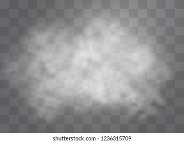 Transparent special effect stands out with fog or smoke. White cloud vector, fog or smog. Vector illustration. White gradient on a transparent background. Rainy weather on a transparent background.