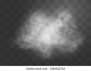 Transparent special effect stands out with fog or smoke. White cloud vector, fog or smog. Vector illustration. White gradient on a transparent background. Rainy weather on a transparent background.