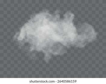 Transparent special effect stands out with fog or smoke. White cloud vector, fog or smog.