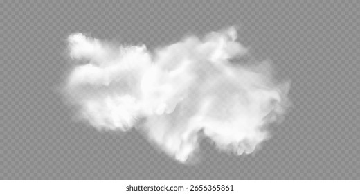 El efecto especial transparente se destaca con niebla o humo. Vector de nubes blancas, niebla o smog.