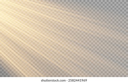 Transparent sunlight special lens flare light effect. Vector graphics.