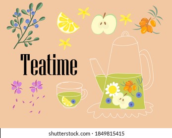 Transparent teapot and a cup of natural green tea with berries and herbs. Set of fruit tea ingredients with sea buckthorn.Vector illustration of healthy hot drink with vitamins for cold winter, autumn