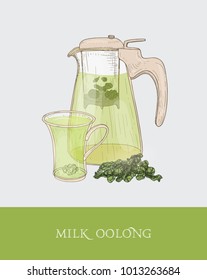 Transparent teapot or jug with strainer and steeping milk oolong, cup and tea leaves hand drawn in elegant vintage style. Traditional Taiwanese drink. Colorful vector illustration for tag, label.
