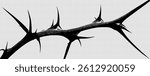 Transparent Thorn Border on Black and White Background featuring Isolated Vector Branch with Gothic Crown and Thorny Vine Pattern for Art and Design Projects