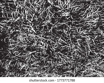 Transparent thorny grass texture background. Backdrop for overlay or montage. Lines, strokes, stripes and spots, prickly splatter. Abstract vector illustration.