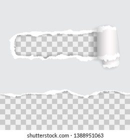 transparent torn paper. vector illustration with shadows 