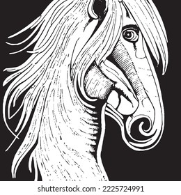 Transparent vector of a horse's head, isolated, artistic