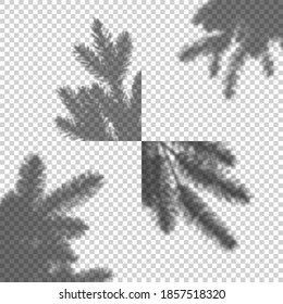 Transparent Vector Set of Shadow of Christmas Tree. Design Element for Collage and Mock Up. Decorative Overlay Effect for Mockups, Posters and New Year Greeting Cards