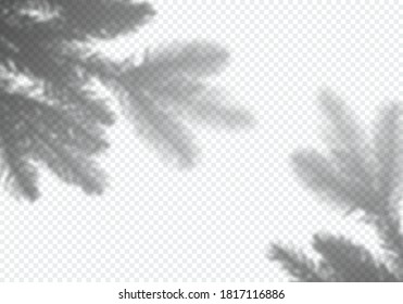 Transparent Vector Shadow of Christmas Tree. Decorative Design Element for Collage and Mock Up. Creative Overlay Effect for Mockups, Posters and New Year Greeting Cards