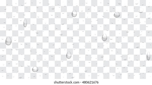 transparent water drop background vector