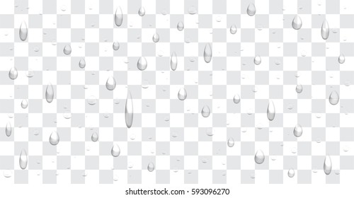 transparent water drop background vector