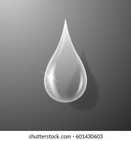 Transparent water drop. Vector illustration