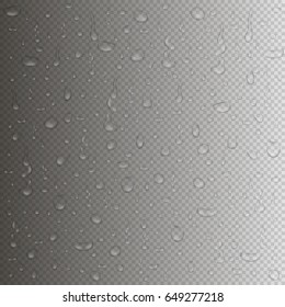 Transparent water drops background. Rain drops in realistic style with reflection. Vector illustration