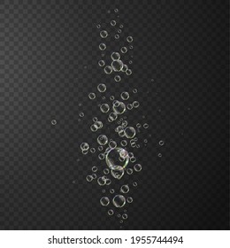Transparent water realistic glass bubbles. Bubbles PNG. Vector PNG.