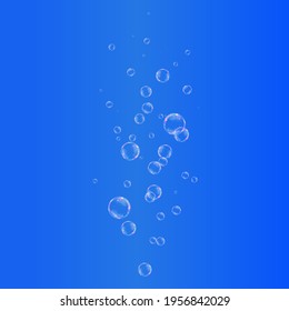 Transparent water realistic glass bubbles. Bubbles PNG. Vector PNG.