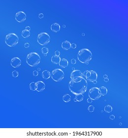 Transparent water realistic glass bubbles. Bubbles PNG. Vector PNG.