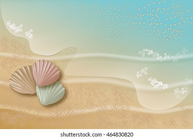 transparent the wave is incident on the sand with shells