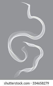 transparent white smoke. Vector image.
