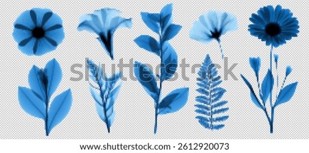 Transparent x-ray set showcases a grunge floral kit with blue botanical elements. Vintage collage meets Y2K vector style, creating retro 3D graphic aesthetic.
