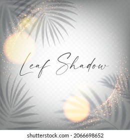 Transpaternt shadow and bokeh effect. Palm leaves.