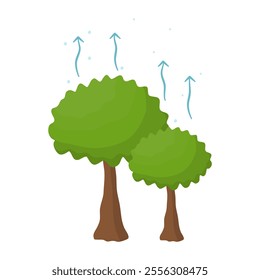 Transpiration in Water Cycle Processes