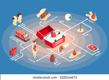 Transplantation isometric flowchart with donor heart in medical case for human organs anatomy dummy bone marrow liver eye icons vector illustration