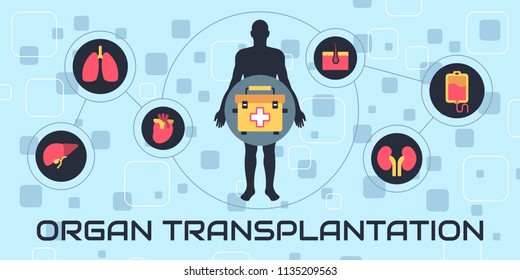 Transplantation. The Most Common Transplanted Human Organs: Heart, Liver, Kidney, Bone Marrow, Skin, Pancreas.