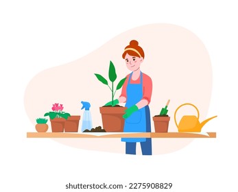 Transplanting home flowers. Spring work in the garden. Floriculture home