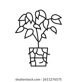 transplanting urban gardening line icon vector. transplanting urban gardening sign. isolated contour symbol black illustration