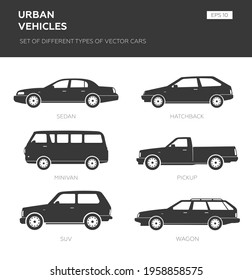 Transport design over white background, vector illustration. Collection car icon set 4x4, business auto, vintage car, sedan, hatchback, van, pickup. 