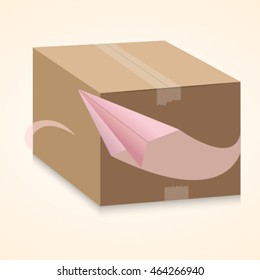 Transport icon box and paper plane.