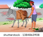 Transportation with a donkey Indian Traditional Way work with donky
