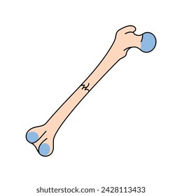 Transverse bone fracture line icon. Vector isolated element. Editable stroke.