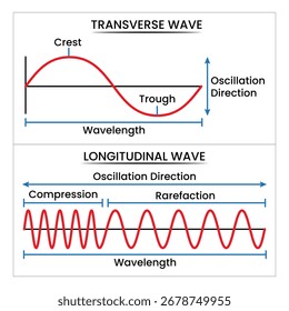 Transverse and longitudinal waves. Ideal for science education, physics presentations, and digital media.