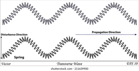 Transverse Wave