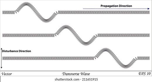Transverse Wave