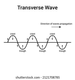 Transverse Wave Diagram. Crest And Trough