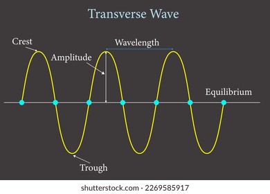 transverse wave presentation . Crest, trough, wavelength and amplitude ,vector illustration