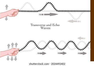 Transverse waves, echo diagram. Spring stretched, longitudinal. Making waves. Periodic formation speed. Battle rope, chain. Crests, troughs, wavelength. Physics, sports graphic. Vector illustration
